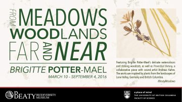 From Meadows Woodlands Far and Near | March 10 – September 4, 2016
