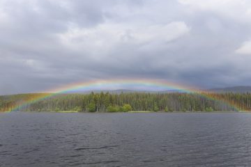 Rainbow over Rainbow Trout