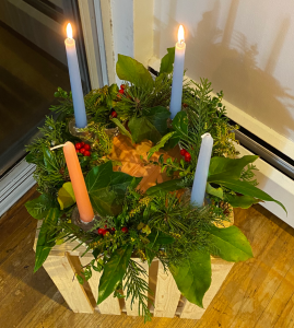 Holiday Wreath Biodiversity