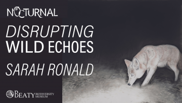 Nocturnal: Disrupting Wild Echoes