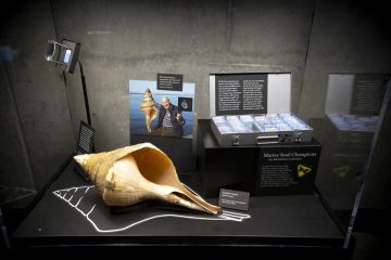 A Celebration of Bill Merilees’ Mollusc Collection