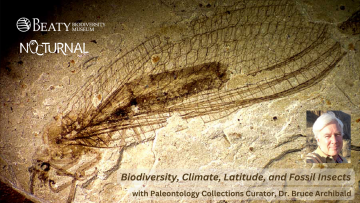 Beaty Nocturnal: Biodiversity, Climate, Latitude, and Fossil Insects