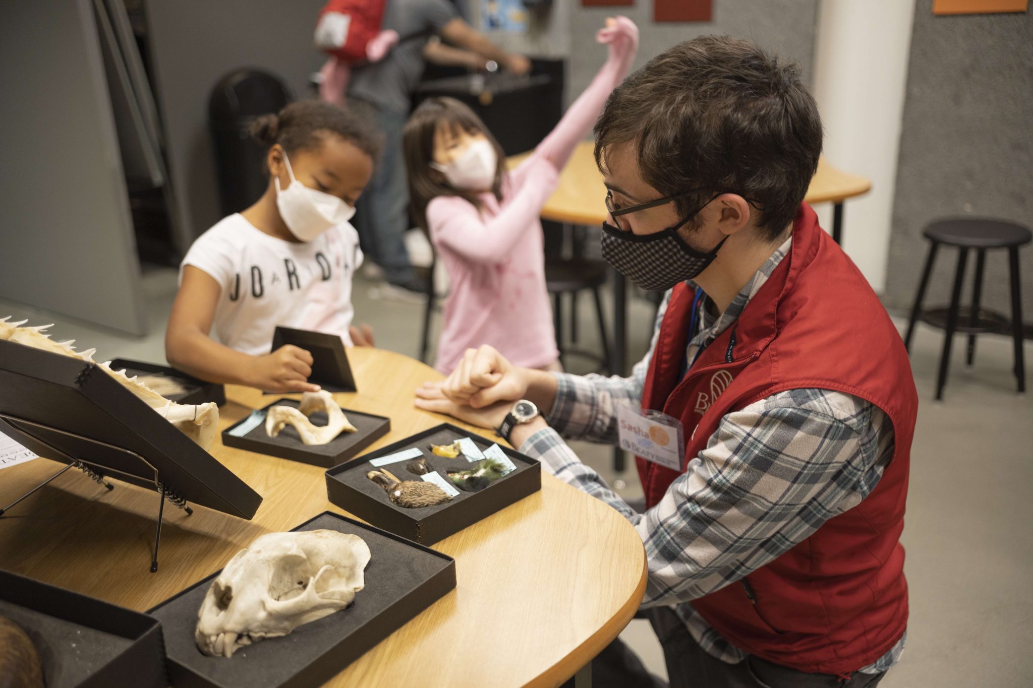 Teaching & Learning | Beaty Biodiversity Museum