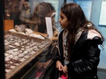 A girl peers into a cabinet filled with bird eggs.
