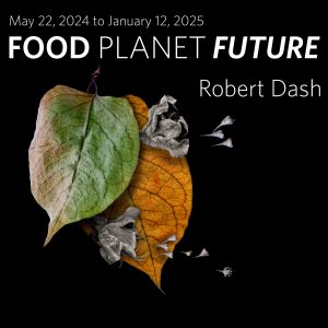 Food Planet Future – Meet the Artist!