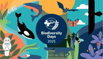International Day for Biological Diversity