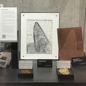 Peatland Mosses – an interactive tour of her exhibition with artist Lisa Matthias
